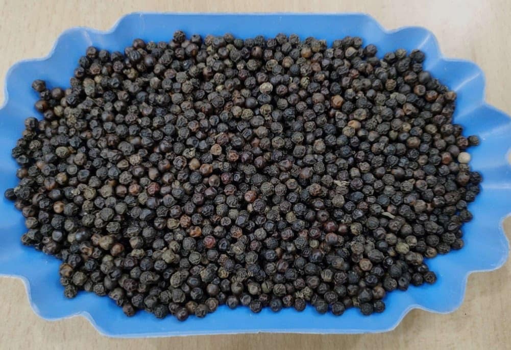 BLACK PEPPER 550 G/L FAQ