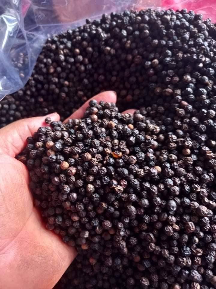 CLEANED BLACK PEPPER 570 G/L